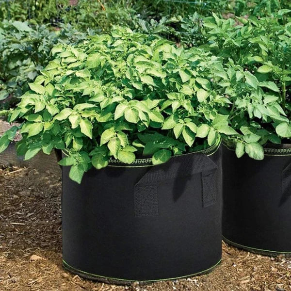 Aerated Fabric Grow Pots with Handles