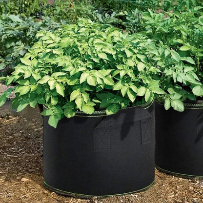 Aerated Fabric Grow Pots with Handles