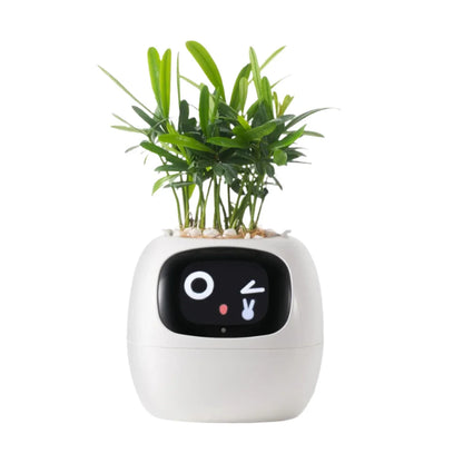 NextGen Ivy Smart Planter
